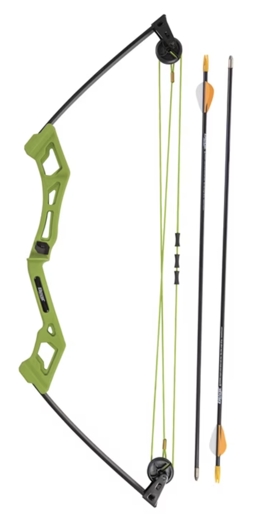 Bear Archery Apprentice Youth Bow Set: $14
