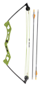 Bear Archery Apprentice Youth Bow Set for $14 + free shipping w/ $35