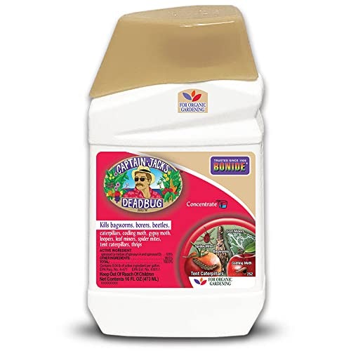 Bonide Captain Jack's Deadbug Brew 16-oz. Insecticide Concentrate: $10.12