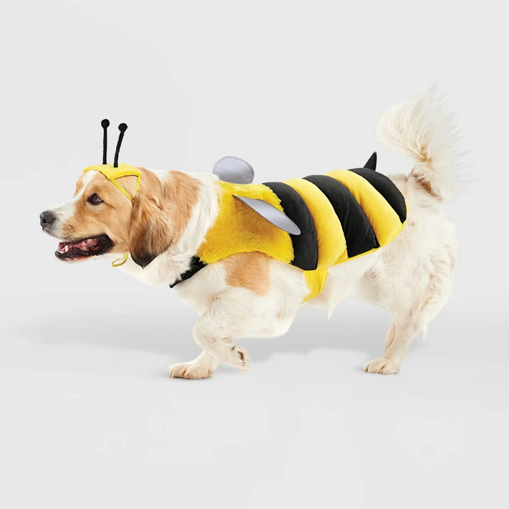 Target Pet Toys & Accessories Sale: Buy 1 get 1 30% off Target Pet Toys & Accessories Sale: Buy 1 get 1 30% off