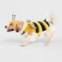 Target Pet Toys & Accessories Sale: Buy 1 get 1 30% off + free shipping w/ $35