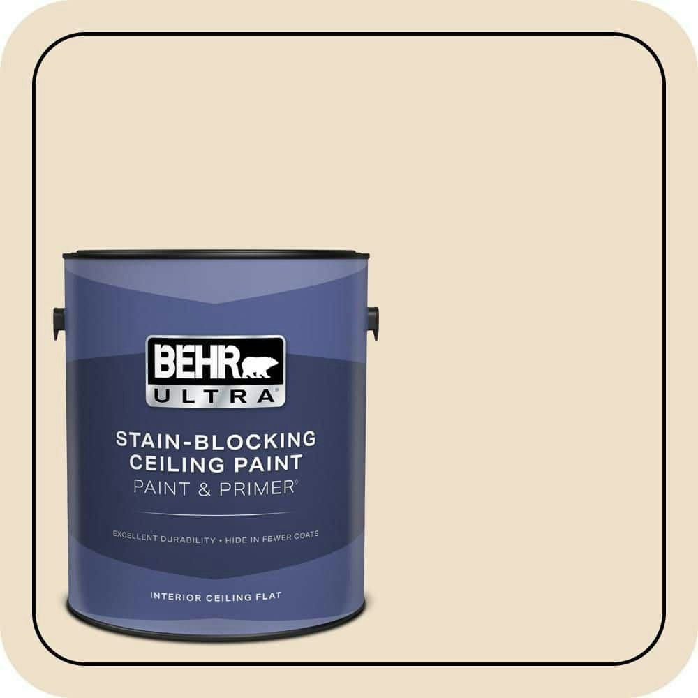 Behr #N280-1 Scroll Ceiling Flat Interior Paint and Primer 1-Gallon: $42.98 Behr #N280-1 Scroll Ceiling Flat Interior Paint and Primer 1-Gallon: $42.98