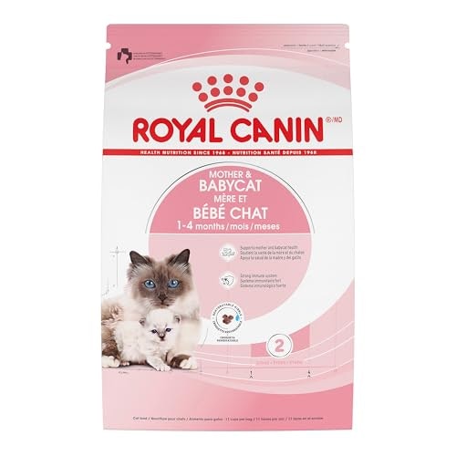 Royal Canin Mother & Babycat Dry Cat Food 3lb Bag: $29.99