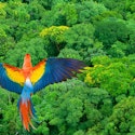 7-Night Costa Rica Flight, Hotel, and Tour Vacation for From $3,596 for 2