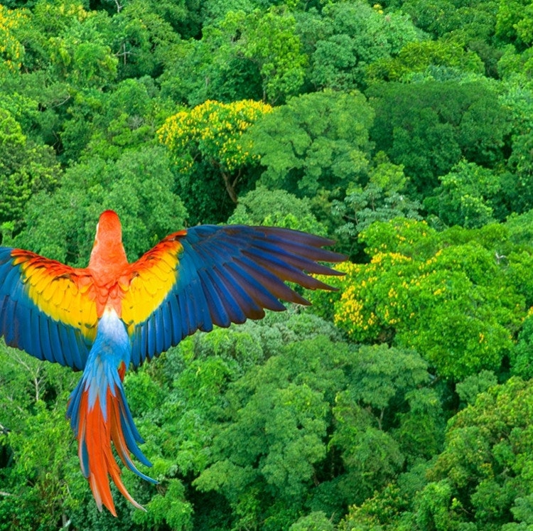 7-Night Costa Rica Flight, Hotel, and Tour Vacation: From $3,596 for 2