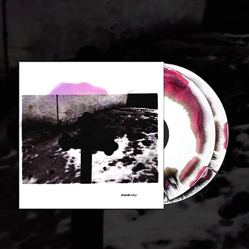 After 2-LP Vinyl Record: $30.77