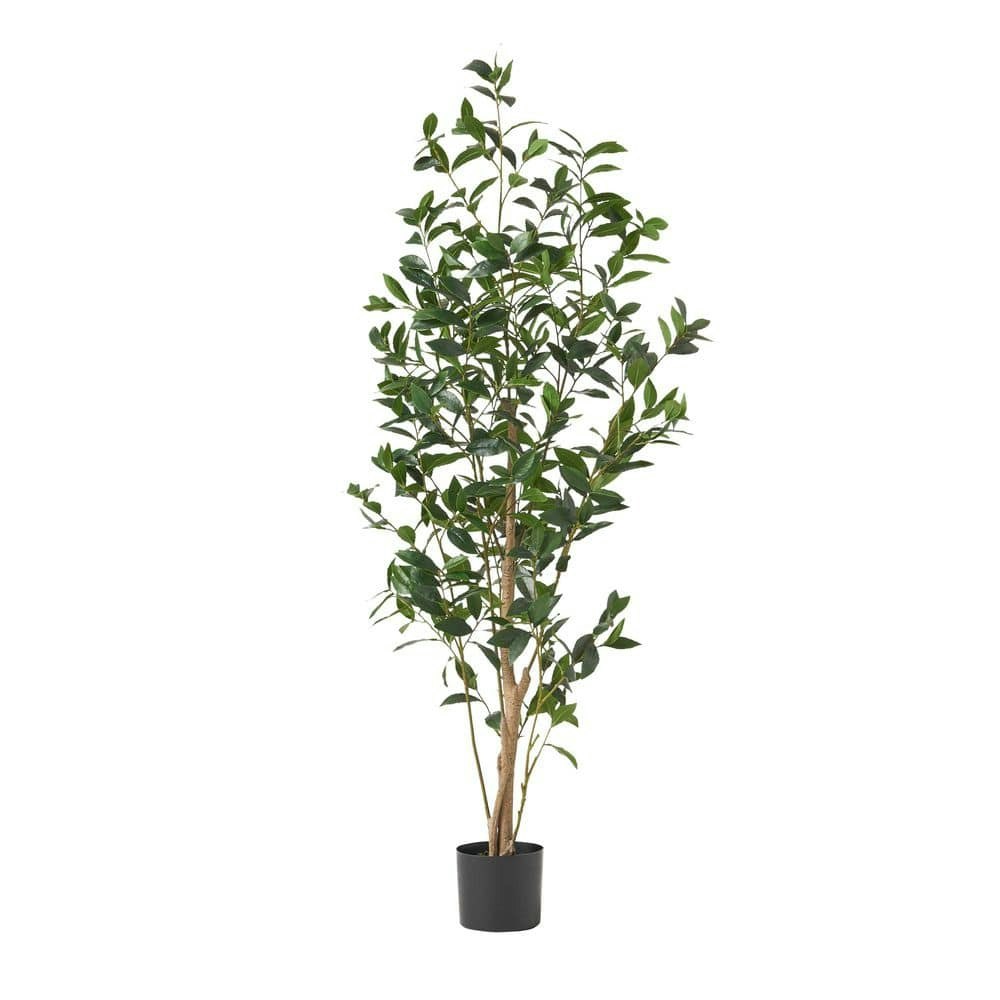 64-Inch Artificial Laurel Tree in Pot: $158.64 64-Inch Artificial Laurel Tree in Pot: $158.64