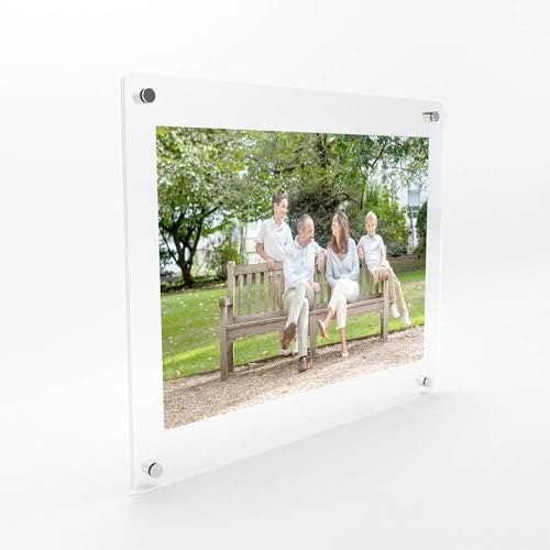 20x20-Inch Acrylic Lucite Frame with Chrome Wall Mount Standoffs: $103.93
