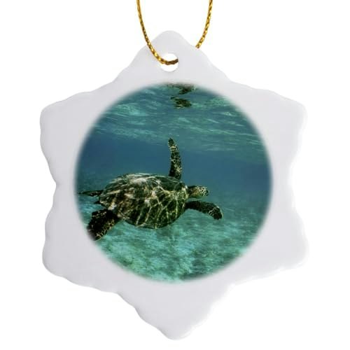 3dRose Green Sea Turtle Snowflake Porcelain Ornament: $12.60