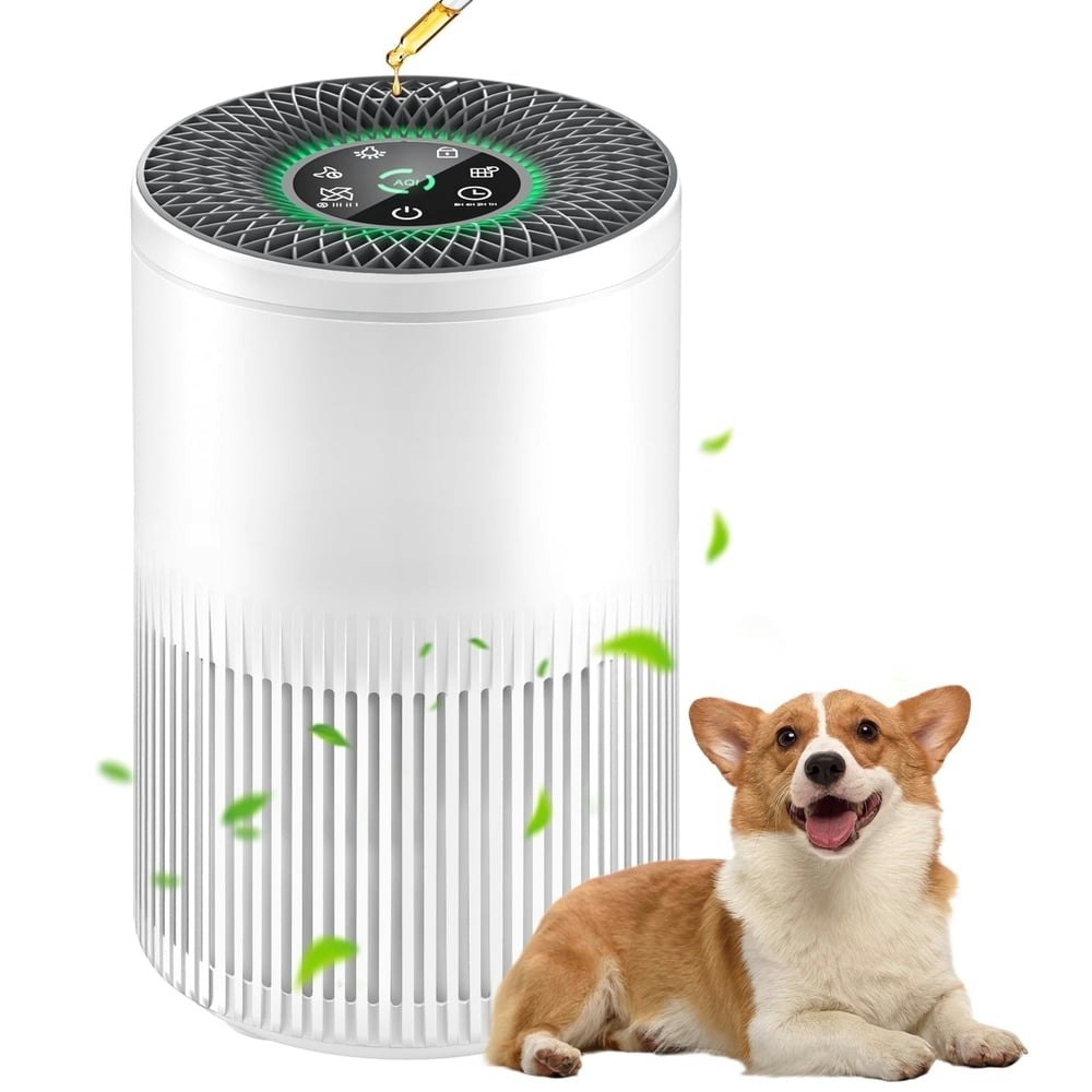 APS1006 1,235-Square-Foot Air Purifier: $29.59 APS1006 1,235-Square-Foot Air Purifier: $29.59