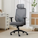 TrueWellness Zentro Ergo Mesh Chair for $120 + free shipping