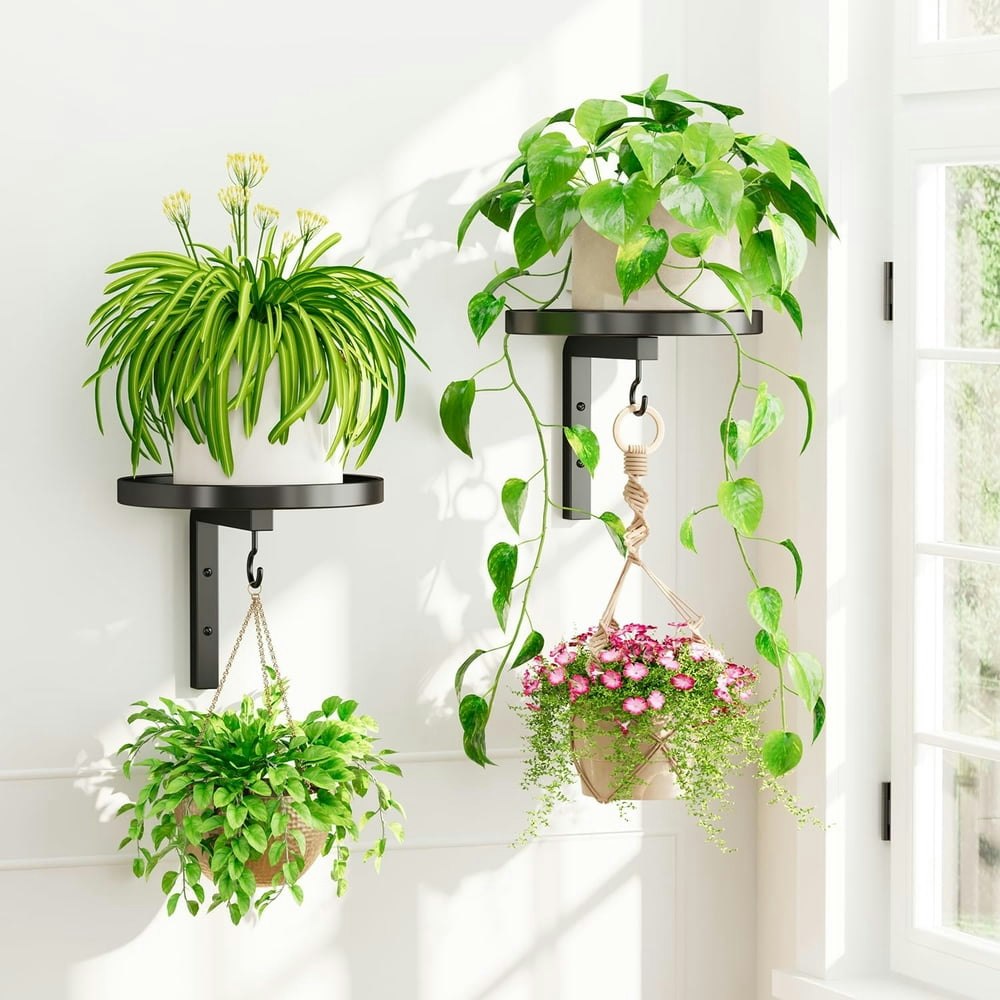 Kabb Wall Plant Holder 2-Pack: $15.87 Kabb Wall Plant Holder 2-Pack: $15.87