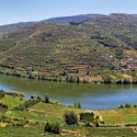 7-Night Portugal Flight, Hotel, Train, and Douro River Cruise Vacation for From $4,198 for 2