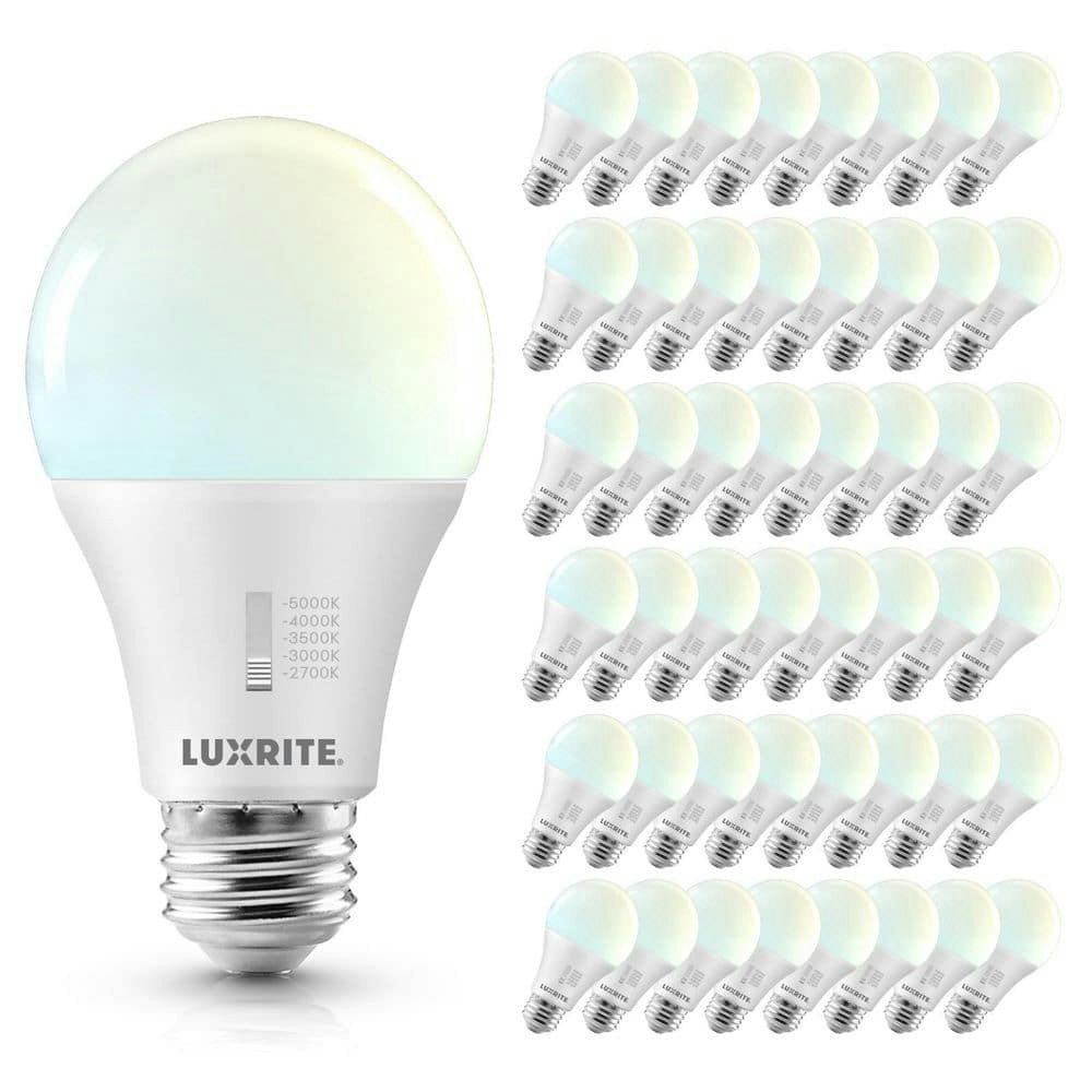 100-Watt Equivalent A19 Dimmable LED Light Bulb 48-Pack: $208.99 100-Watt Equivalent A19 Dimmable LED Light Bulb 48-Pack: $208.99