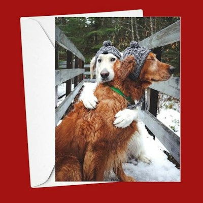 Galison Puppy Love Notecard Set 20-Pack for $12 + free shipping w/ Prime