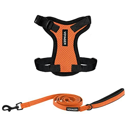Best Pet Supplies Voyager Step-in Lock Pet Harness and 5ft Leash Combo Set: $13.43 Best Pet Supplies Voyager Step-in Lock Pet Harness and 5ft Leash Combo Set: $13.43