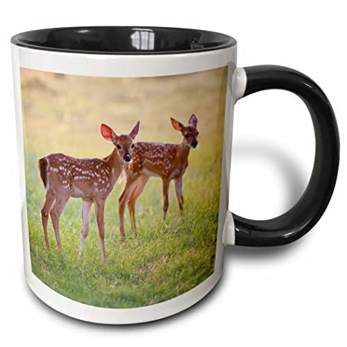 3dRose White-Tailed Deer 11-ounce Mug: $12.40