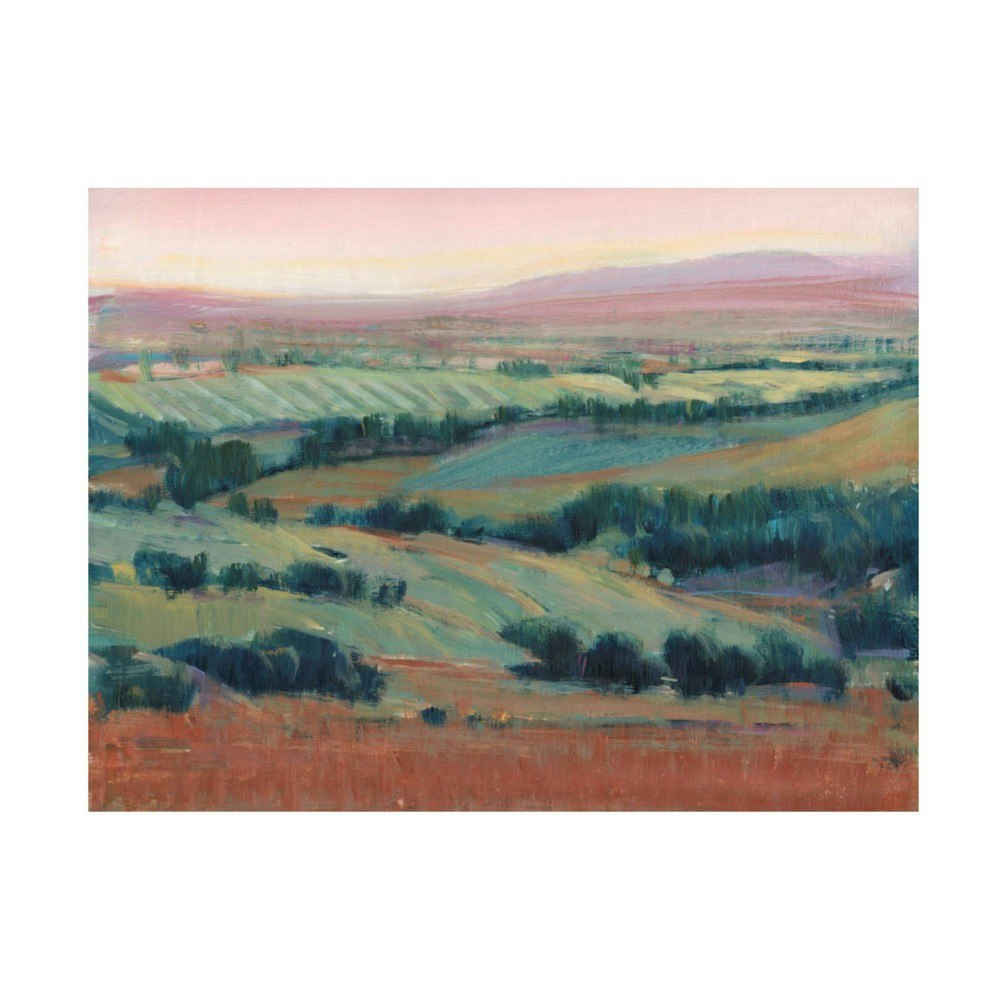 24" x 32" Tim OToole High Point II Unframed Wall Canvas: $48.99