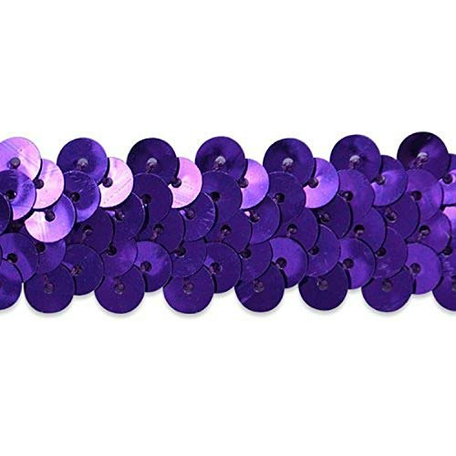 Expo International 2-Row Metallic Stretch Sequin Trim 20-Yard Roll: $22.35