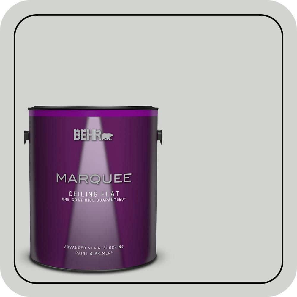 Behr Platinum Ceiling Flat Interior Paint and Primer 1-Gallon: $52.98 Behr Platinum Ceiling Flat Interior Paint and Primer 1-Gallon: $52.98