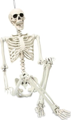 5.4ft Posable Halloween Skeleton Decoration for $41 + free shipping