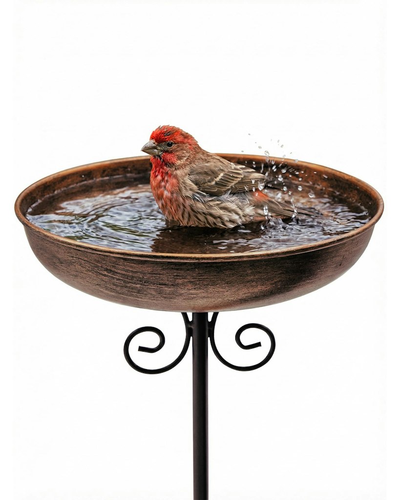 10" Metal Bird Bath w/ Stake: $9.49