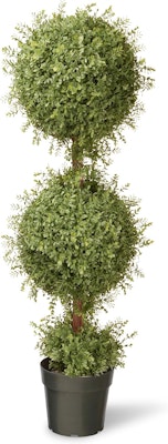 National Tree Company Two Ball Topiary 48" Artificial Plant w/ Pot Base for $29 + free shipping
