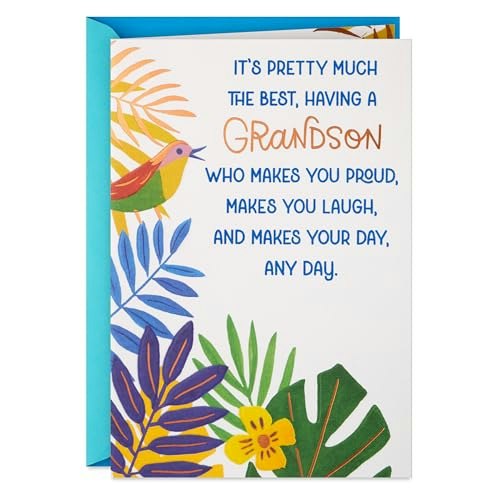 Hallmark Grandson Greeting Card: $4.76 Hallmark Grandson Greeting Card: $4.76