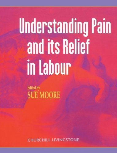 Understanding Pain and Its Relief in Labour: $39.73 Understanding Pain and Its Relief in Labour: $39.73