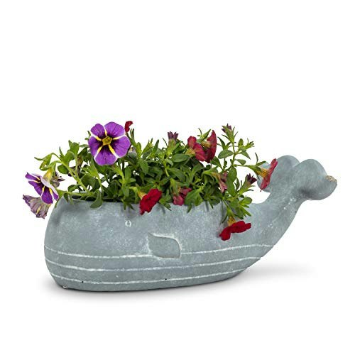 Abbott Collection Small Whale Planter: $23.16 Abbott Collection Small Whale Planter: $23.16