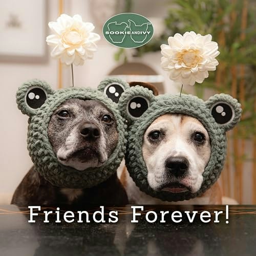 Sookie and Ivy Friends Forever! Book: $12.11