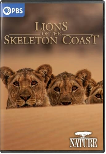 Nature: Lions of the Skeleton Coast DVD: $19.32