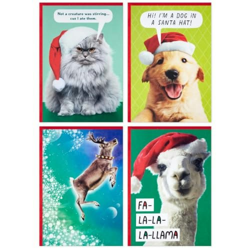 Hallmark Shoebox Funny Christmas Cards 24-Pack: $10.70 Hallmark Shoebox Funny Christmas Cards 24-Pack: $10.70