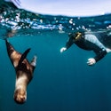 10-Night Ecuador & Galapagos Flight, Hotel, and Tour Vacation for From $3,798 for 2