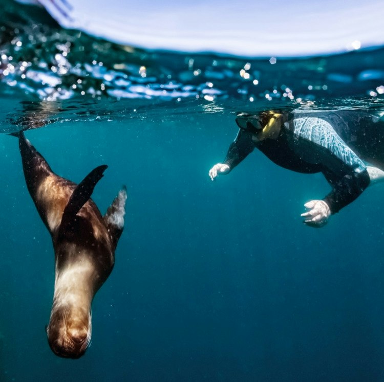 10-Night Ecuador & Galapagos Flight, Hotel, and Tour Vacation: From $3,798 for 2 10-Night Ecuador & Galapagos Flight, Hotel, and Tour Vacation: From $3,798 for 2