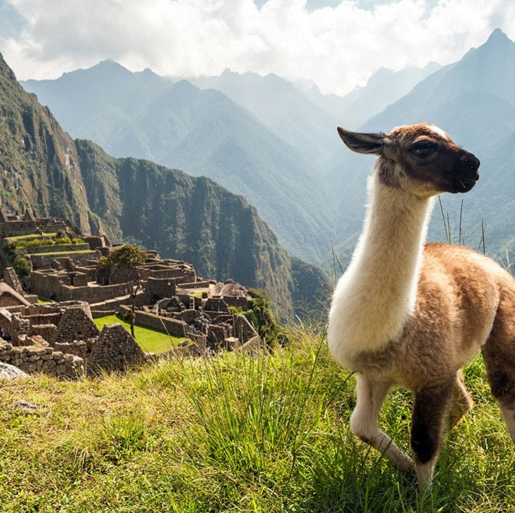 7-Night Peru Flight, Hotel, and Tour Vacation: From $2,598 for 2