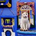 9-Night Morocco Flight, Hotel, and Tour Vacation for From $2,998 for 2