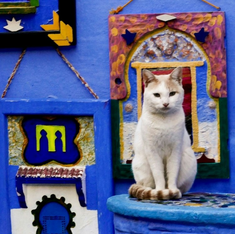 9-Night Morocco Flight, Hotel, and Tour Vacation: From $2,998 for 2
