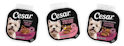 Cesar Pink Pack Dog Food Sample: Free + free shipping