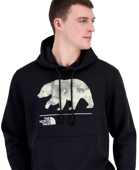 The North Face Men's Evolution Mountain Bear Hoodie: $40