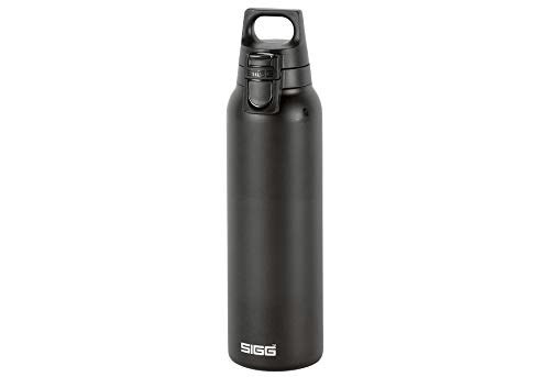 SIGG Hot & Cold ONE Insulated Water Bottle 17oz: $26.79 SIGG Hot & Cold ONE Insulated Water Bottle 17oz: $26.79