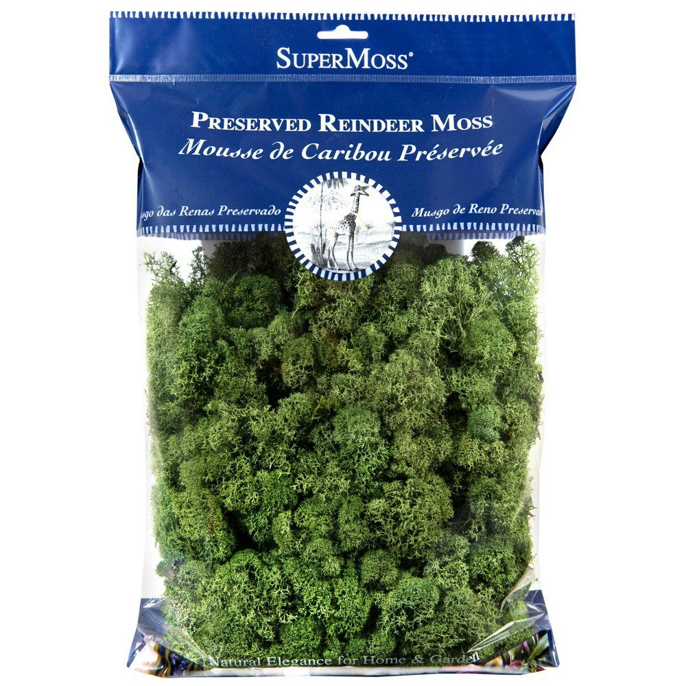 SuperMoss Preserved Reindeer Moss Decorative Filler: $18.99
