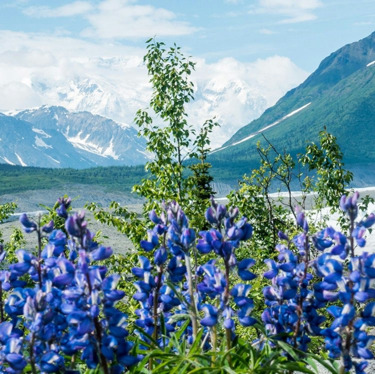 Oceania 11-Night Alaska Cruise: From $6,880 for 2