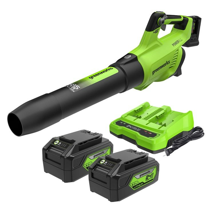 Greenworks 2x24V Blower w/ 2 Batteries & Charger: $150