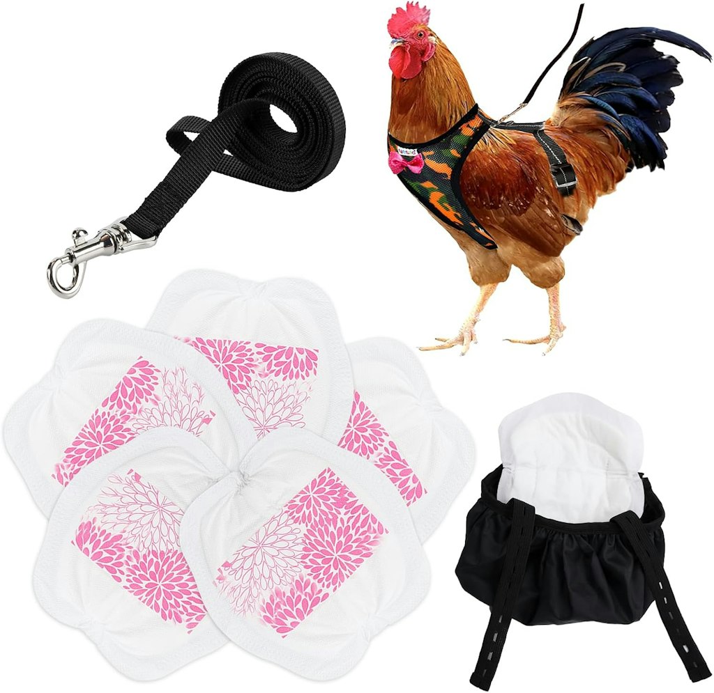 Adjustable Chicken Harness w/ Leash & Diaper Bag: $17