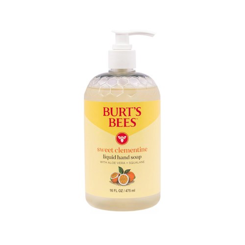 Burt's Bees Moisturizing Natural Hand Soap for $10 + free shipping w/ Prime