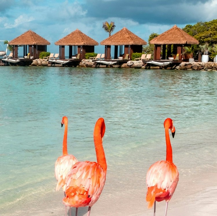 Oceania 14-Night Caribbean Cruise: From $9,750 for 2 Oceania 14-Night Caribbean Cruise: From $9,750 for 2