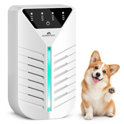 Morrerfresh Air Ionizer for $20 + free shipping