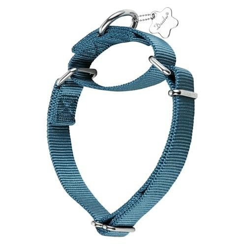 Dazzber Martingale Dog Collar: $15.85 Dazzber Martingale Dog Collar: $15.85