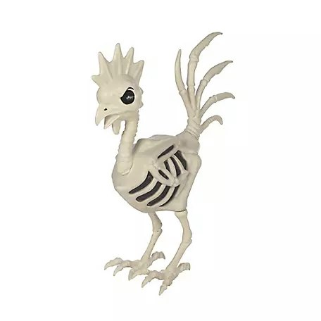 Tractor Supply Halloween Skeleton Flash Sale: Buy One, Get One 50% Off